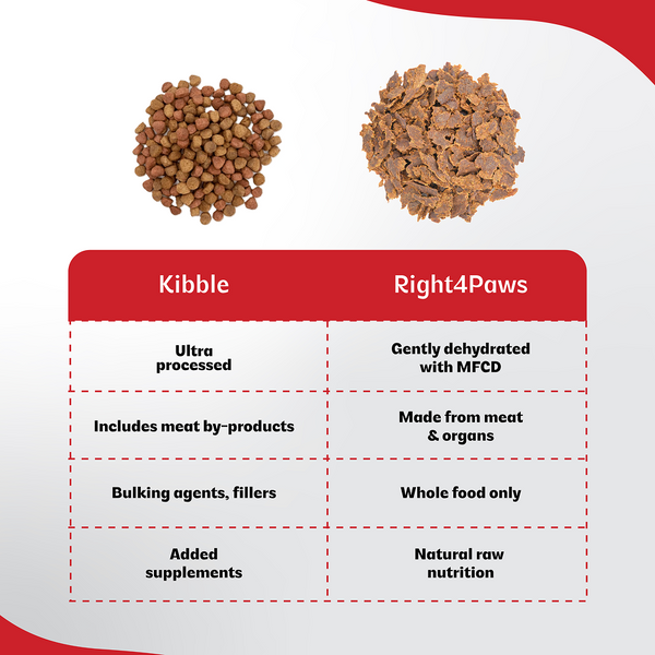 Right4Paws Ultimate Diet Large & Giant Puppy Dog Dry Food