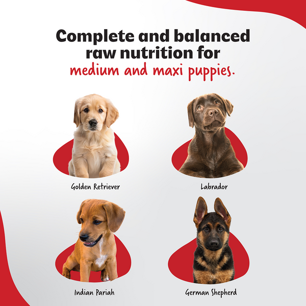 Right4Paws Ultimate Diet Medium & Maxi Puppy Dog Dry Food