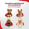 Right4Paws Ultimate Diet Toy & Small Puppy Dog Dry Food Dogs- Dry Food Right4Paws
