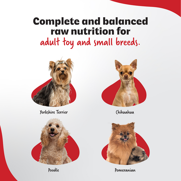 Right4Paws Ultimate Diet Toy & Small Adult Dog Dry Food