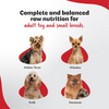 Right4Paws Ultimate Diet Toy & Small Adult Dog Dry Food Dogs- Dry Food Right4Paws