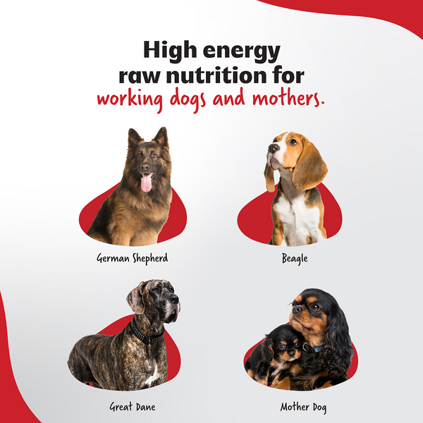 Right4Paws Ultimate Diet Energy+ Adult Dog Dry Food