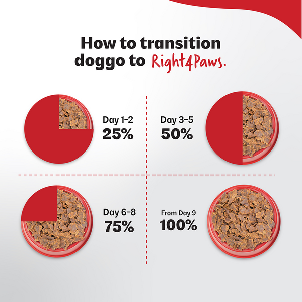 Right4Paws Ultimate Diet Energy+ Adult Dog Dry Food