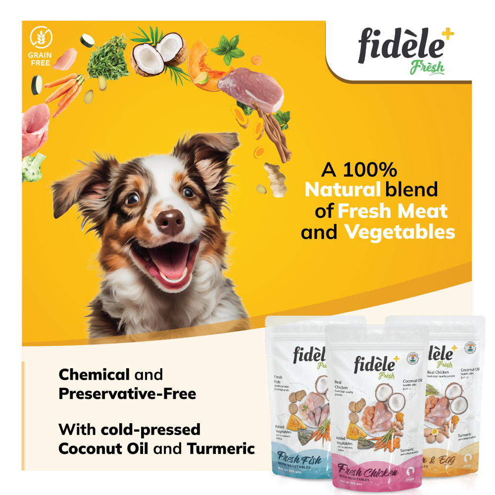 Fidele Plus Fresh Chicken & Egg with Vegetables Dog Wet Food