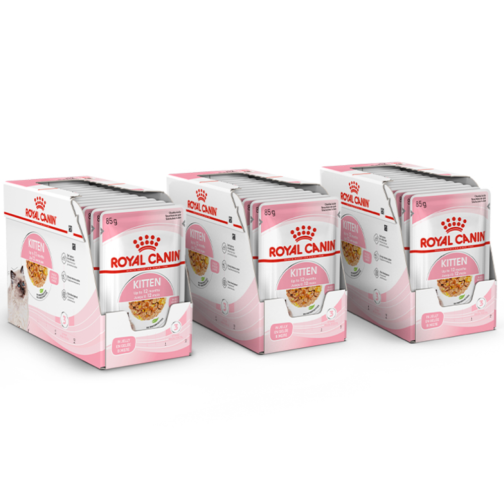 Royal Canin Kitten Jelly Cat Wet Food Cats-Wet Food Royal Canin 36x85g