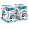 Royal Canin Maxi Puppy Dog Wet Food Dogs-Wet Food Royal Canin