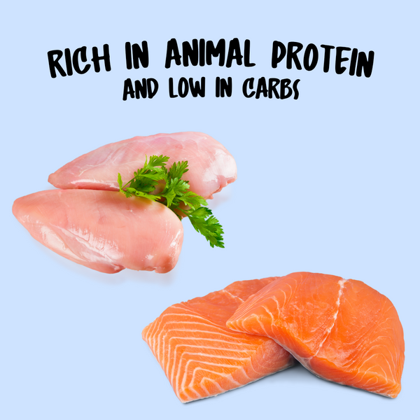 Homiee & Ginger Grain Free Diet Meow Meals Tuna, Carrot & Pumpkin Fresh Food for Cats