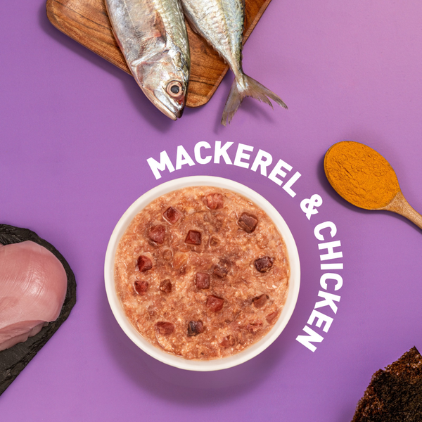 Homiee & Ginger Grain Free Diet Meow Meals Mackerel & Chicken Fresh Food for Cats