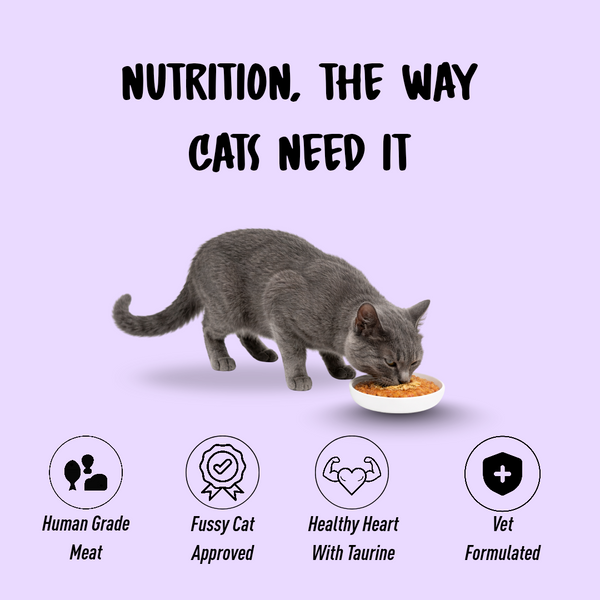 Homiee & Ginger Grain Free Diet Meow Meals Mackerel & Chicken Fresh Food for Cats