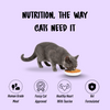 Homiee & Ginger Grain Free Diet Meow Meals Mackerel & Chicken Fresh Food for Cats Cats-Fresh Food Homiee & Ginger