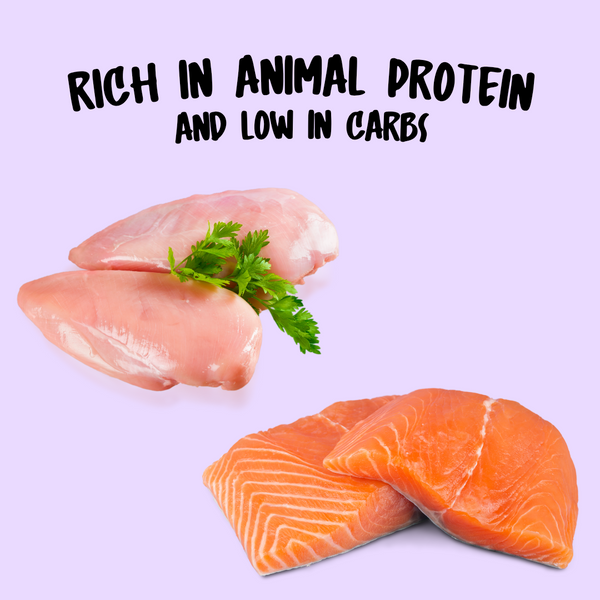 Homiee & Ginger Grain Free Diet Meow Meals Mackerel & Chicken Fresh Food for Cats