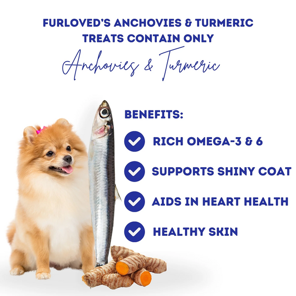 FurLoved Anchovies and Turmeric Omega Dog Treats