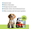 Anxiety Relief Combo Superkit for Dogs Dogs-Pharmacy Exclusive Combo