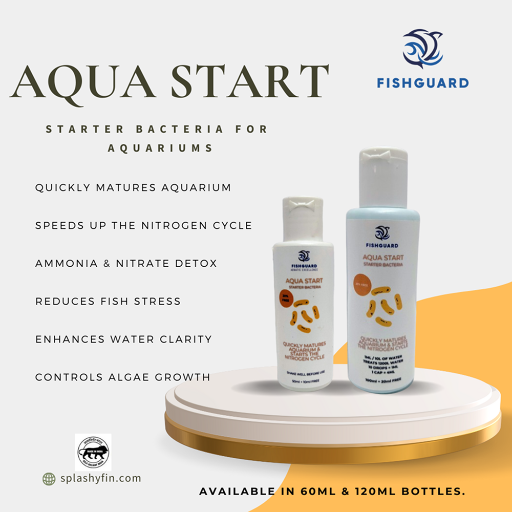 Splashy Fin FishGuard Aqua Start for Fish Tanks Fish Splashy Fin