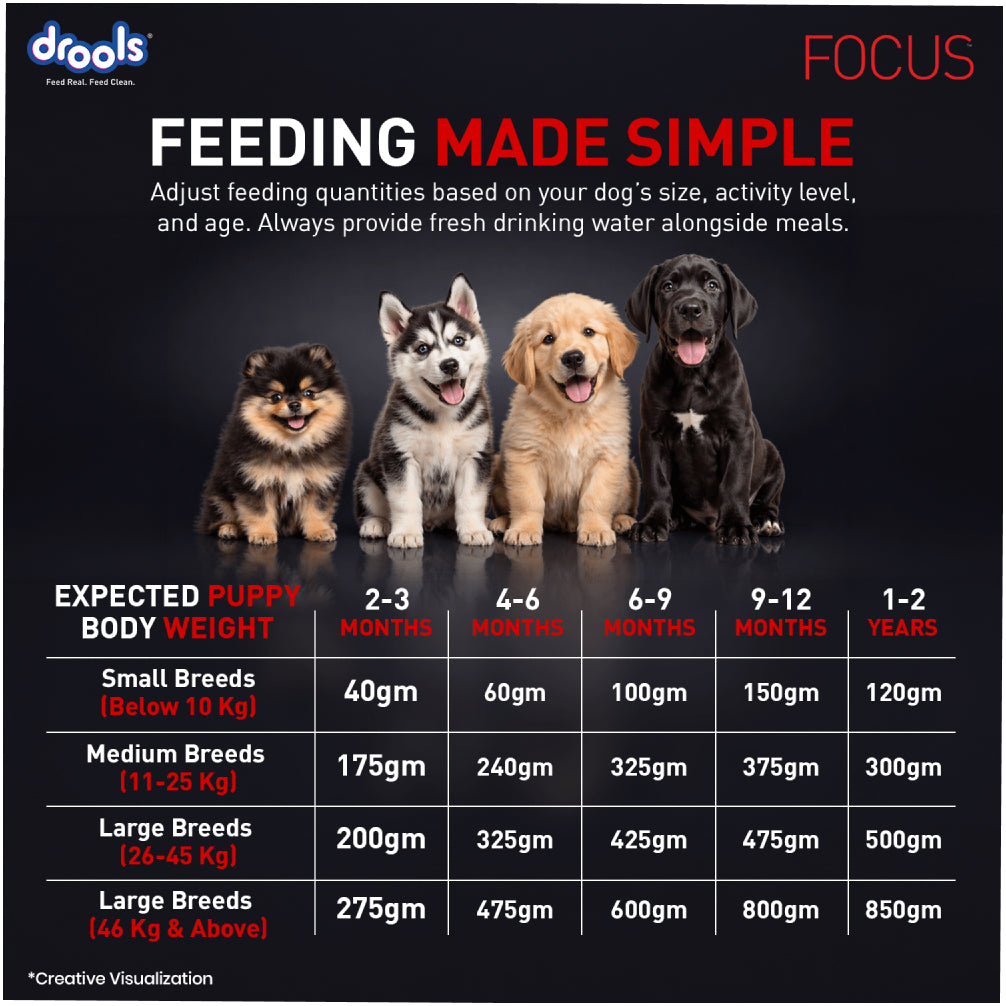 Drools Focus Super Premium Puppy Dog Dry Food | Corn & Wheat Free Formula Dogs- Dry Food Drools Focus