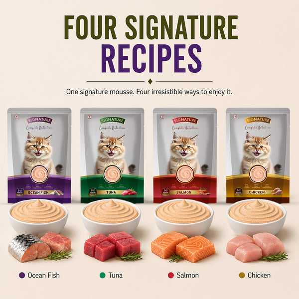 Signature Grain Zero Ocean Fish Mousse Kitten Cat Wet Food