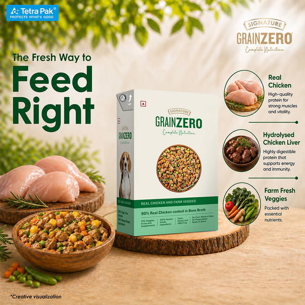 Signature Grain Zero Tetra Pack Real Chicken Veggies Dog Fresh Food