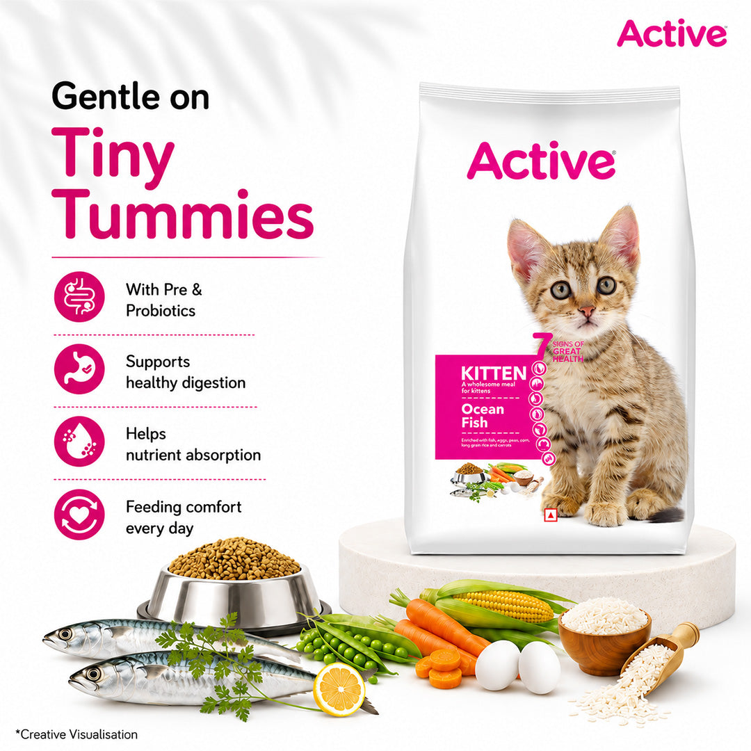 Active Ocean Fish Kitten Cat Dry Food (Buy 1 Get 1) Cats- Dry food Active