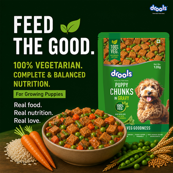 Drools 100% Veg Chunks in Gravy Puppy Wet Food