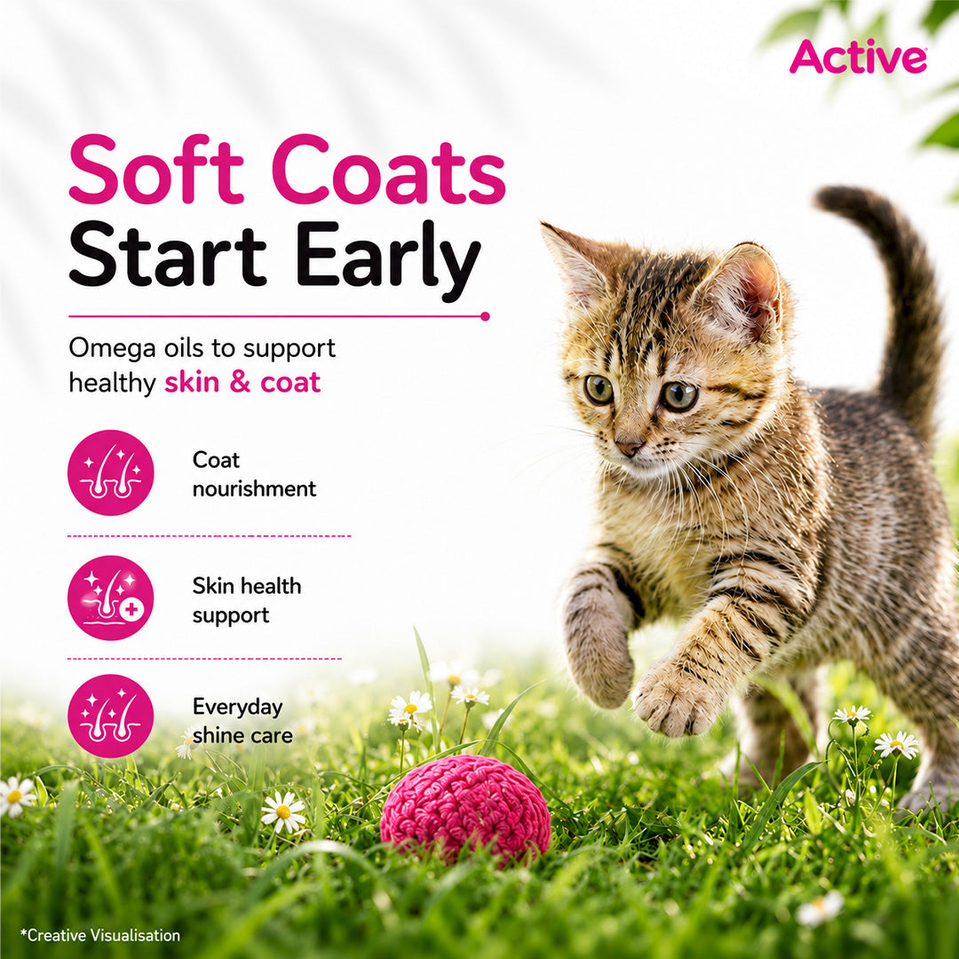 Active Ocean Fish Kitten Cat Dry Food (Buy 1 Get 1) Cats- Dry food Active