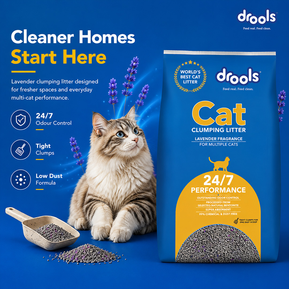 Drools Lavender Scented Clumping Cat Litter
