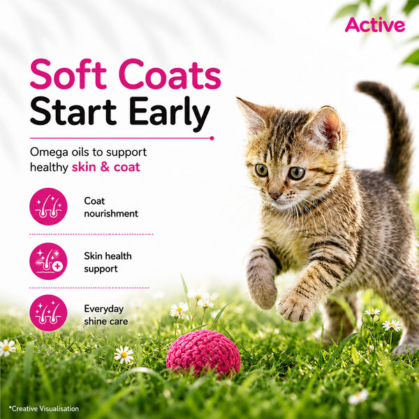 Active Ocean Fish Kitten Cat Dry Food (Buy 1 Get 1)