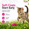 Active Ocean Fish Kitten Cat Dry Food (Buy 1 Get 1) Cats- Dry food Active