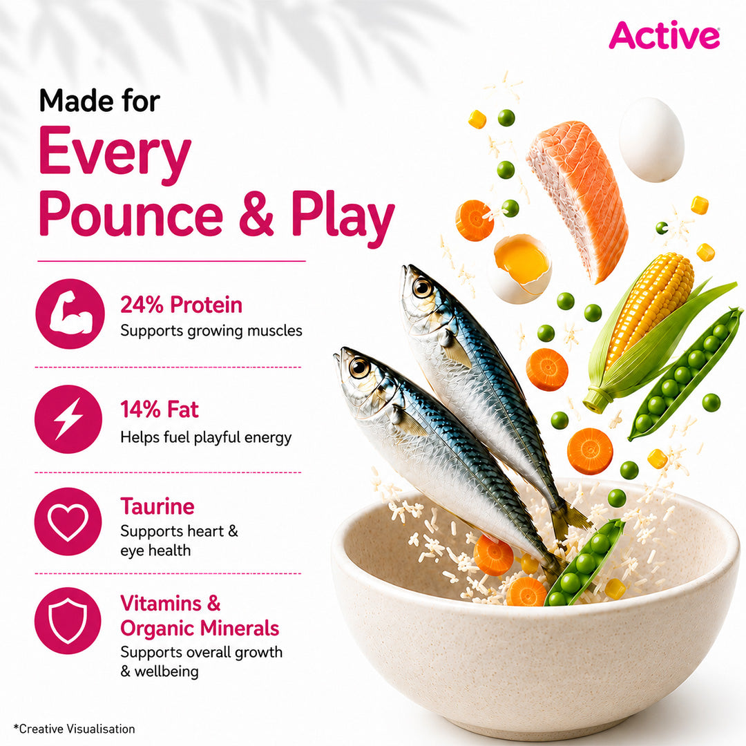 Active Ocean Fish Kitten Cat Dry Food (Buy 1 Get 1) Cats- Dry food Active