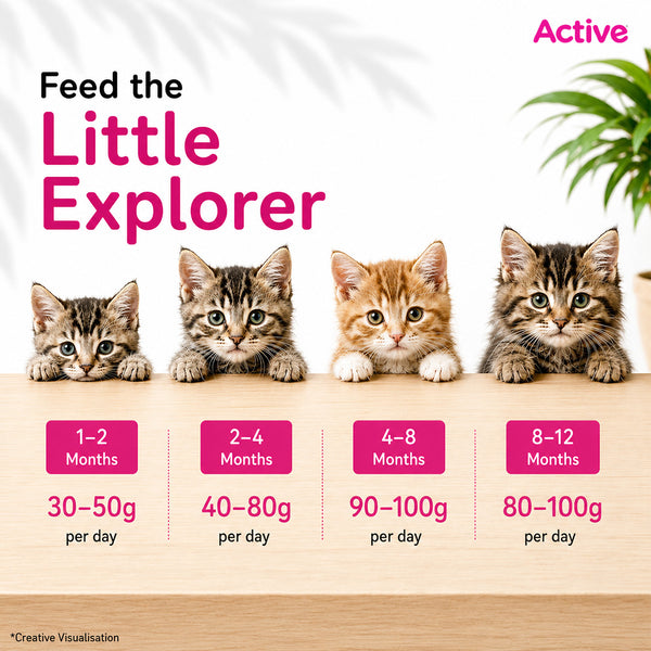 Active Ocean Fish Kitten Cat Dry Food (Buy 1 Get 1)
