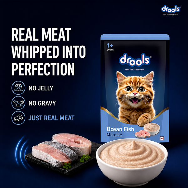 Drools Ocean Fish Mousse Adult Cat Wet Food