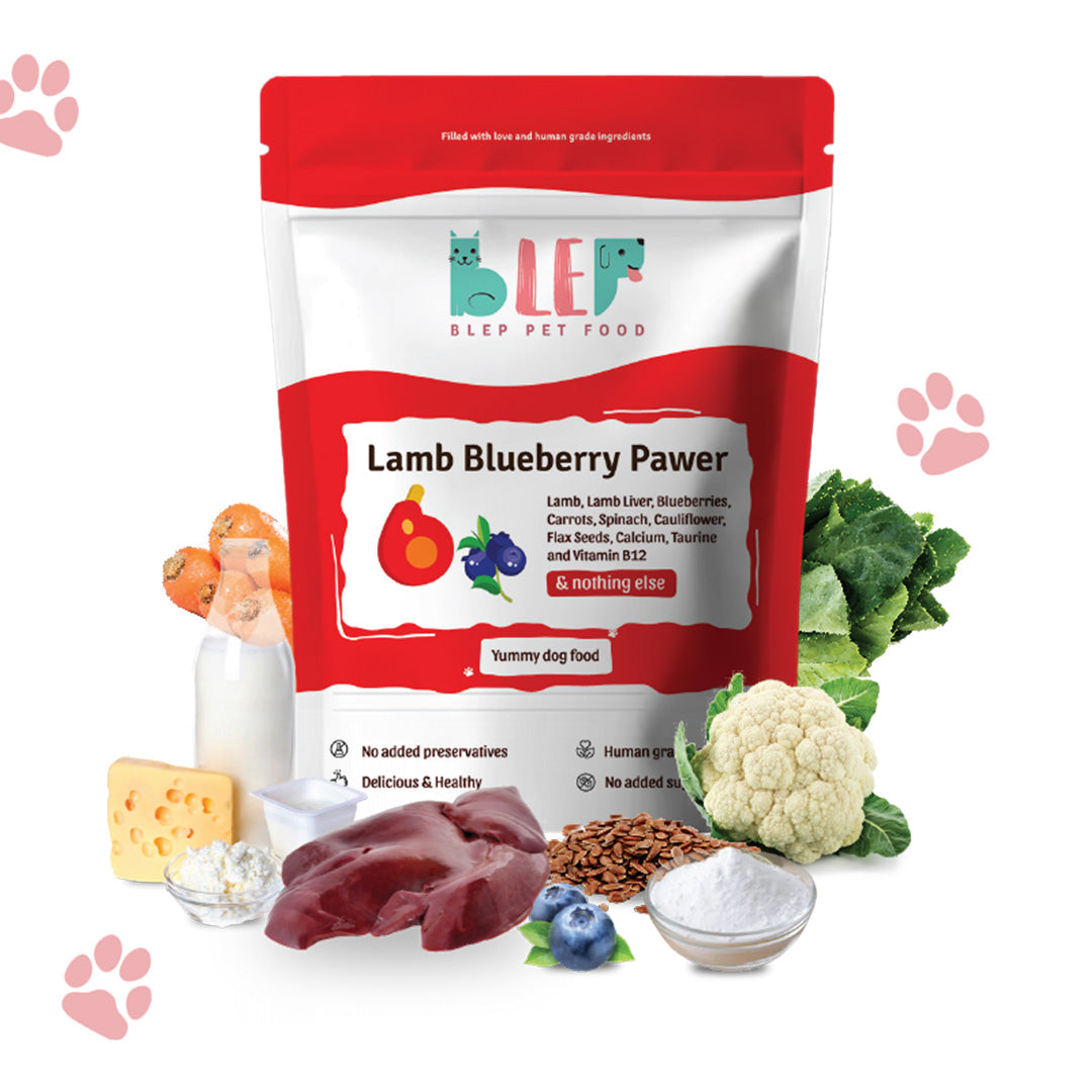 BLEP Lamb Blueberry Pawer Dog Wet Food (200g)
