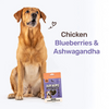 HUFT Yum Nums Grain Free Chicken, Blueberries & Ashwagandha Soft & Chewy Sticks Senior Dog Treats Dog Treats + Others Heads Up for Tails
