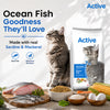 Active Ocean Fish Adult Cat Dry Food (Buy 1 Get 1) Cats- Dry food Active
