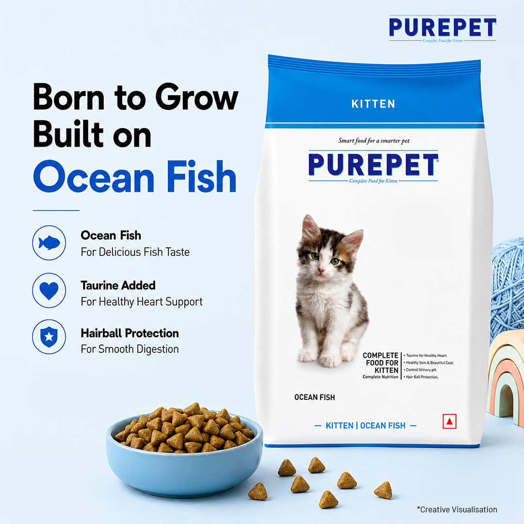 Purepet Ocean Fish Kitten Dry Food Cats- Dry food Purepet