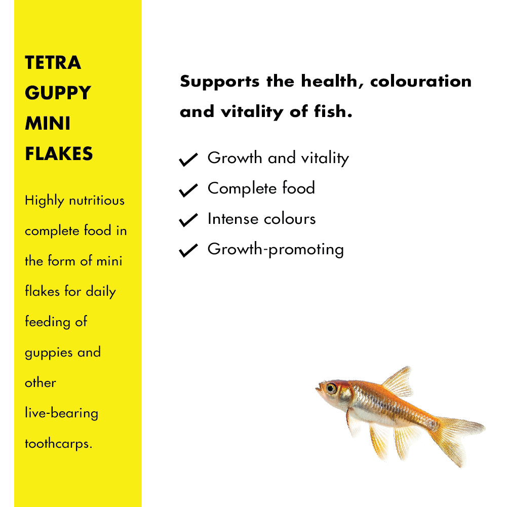 Tetra Complete Guppy Fish Food Fish Tetra