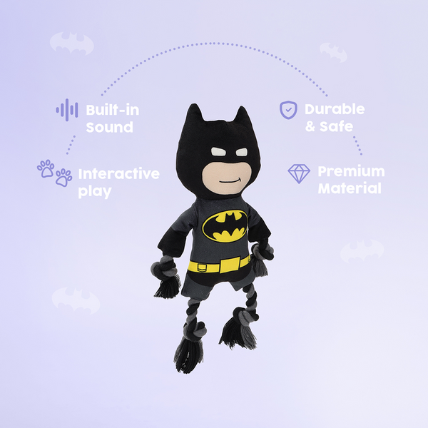 Warner Bros Batman Plush Toy for Dogs and Cats