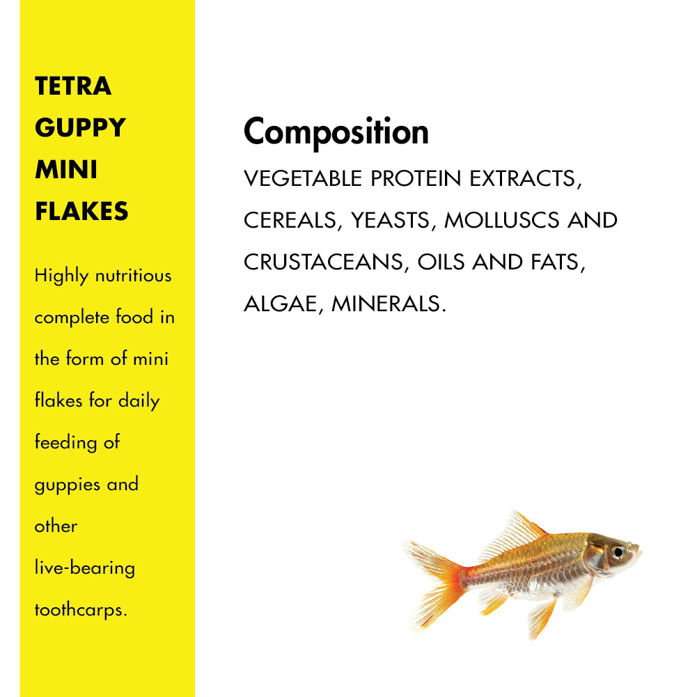 Tetra Complete Guppy Fish Food Fish Tetra