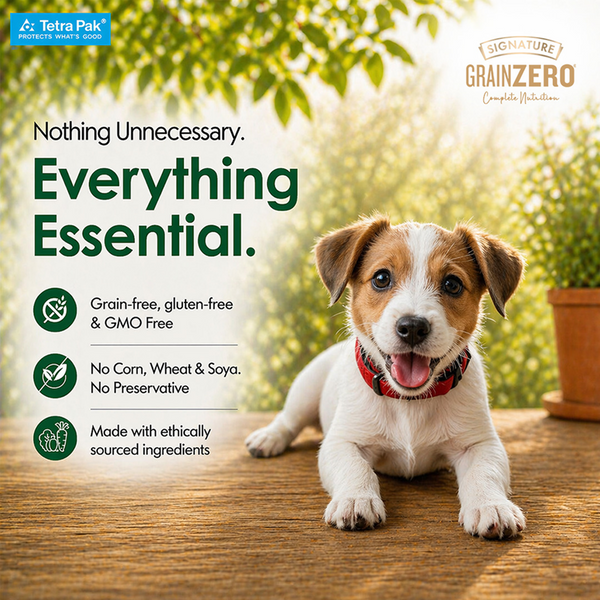 Signature Grain Zero Tetra Pack Real Chicken Veggies Dog Fresh Food