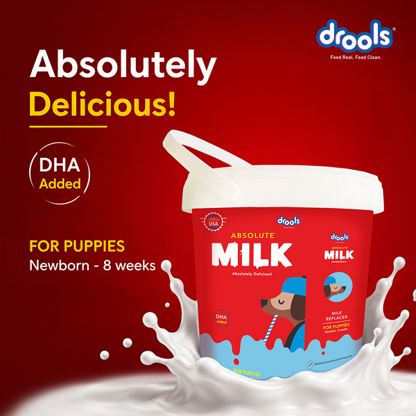 Drools Absolute Milk for Newborn Puppies