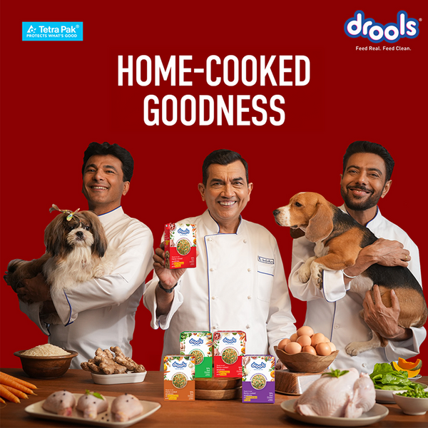 Drools Tetra Pack Real Chicken Turkey Dog Fresh Food