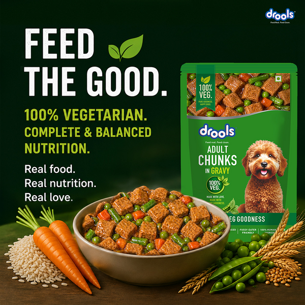 Drools 100% Veg Chunks in Gravy Adult Dog Wet Food