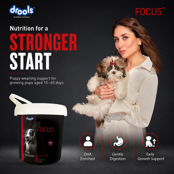 Drools Focus Pup Booster Puppy Weaning Diet for All Breeds (300g)