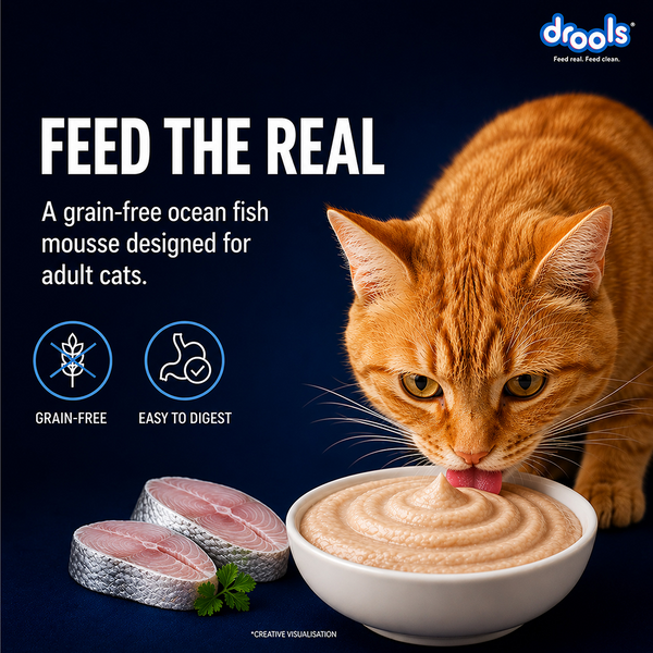 Drools Ocean Fish Mousse Adult Cat Wet Food