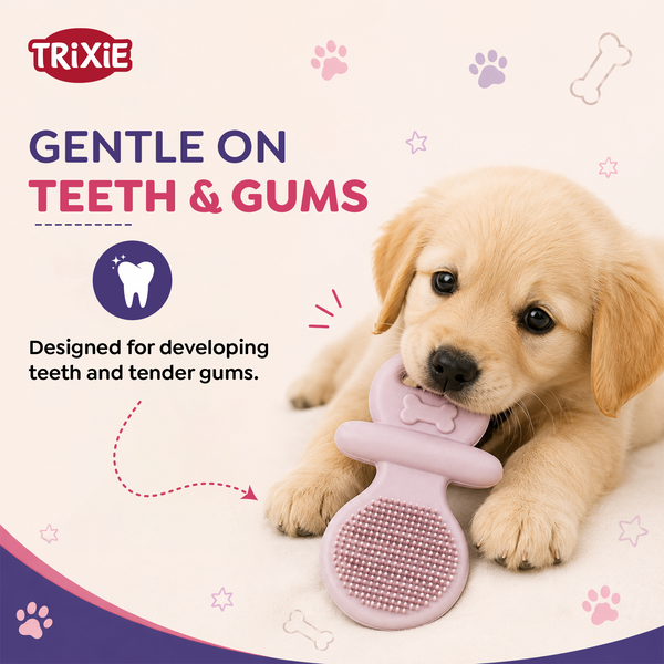Trixie Junior Pacifier Natural Rubber Chew Toy for Dogs (Mint Green)