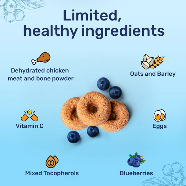 HUFT Berry Bites Real Chicken & Blueberries Dog Treats