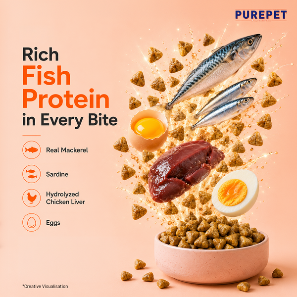 Purepet Mackerel Kitten Cat Dry Food
