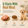 Signature Grain Zero Real Chicken, Egg and Vegetables Puppy Dog Dry Food Dogs- Dry Food Signature