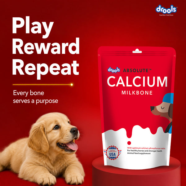 Drools Absolute Calcium Bone Pouch for Dogs