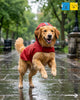 15 Furries Urban Waterproof Raincoat for Dogs (Red) Dogs-Clothing & Accessories 15 Furries Dropship XS
