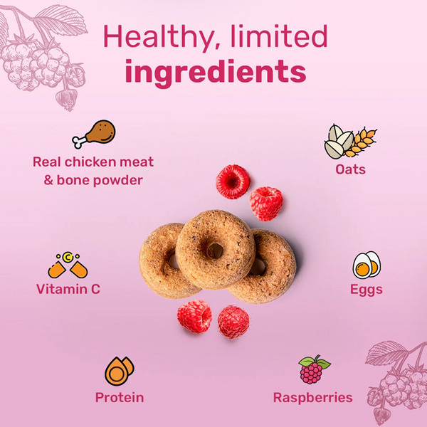 HUFT Berry Bites Gluten Free Real Chicken & Raspberries Dog Treats